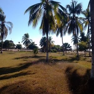 Meet your Posher, Fatima